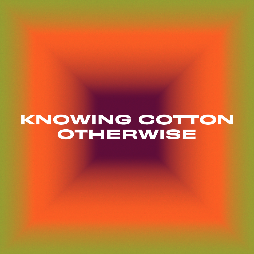 Cover image for Knowing Cotton Otherwise